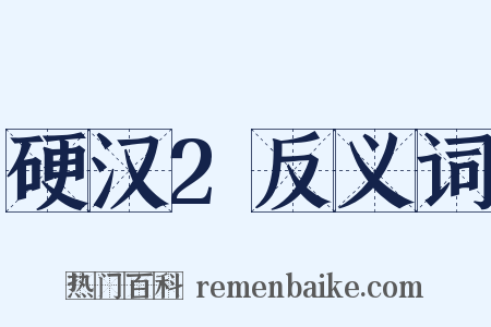 硬汉2反义词是什么意思的图片